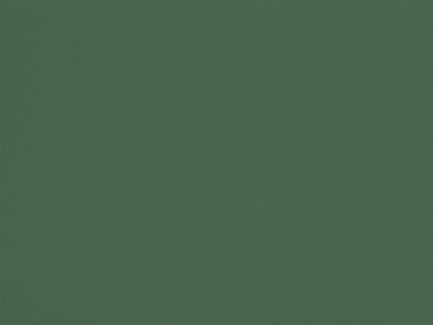 Eucalyptus SL33 — Colección Maison Sarah Lavoine
