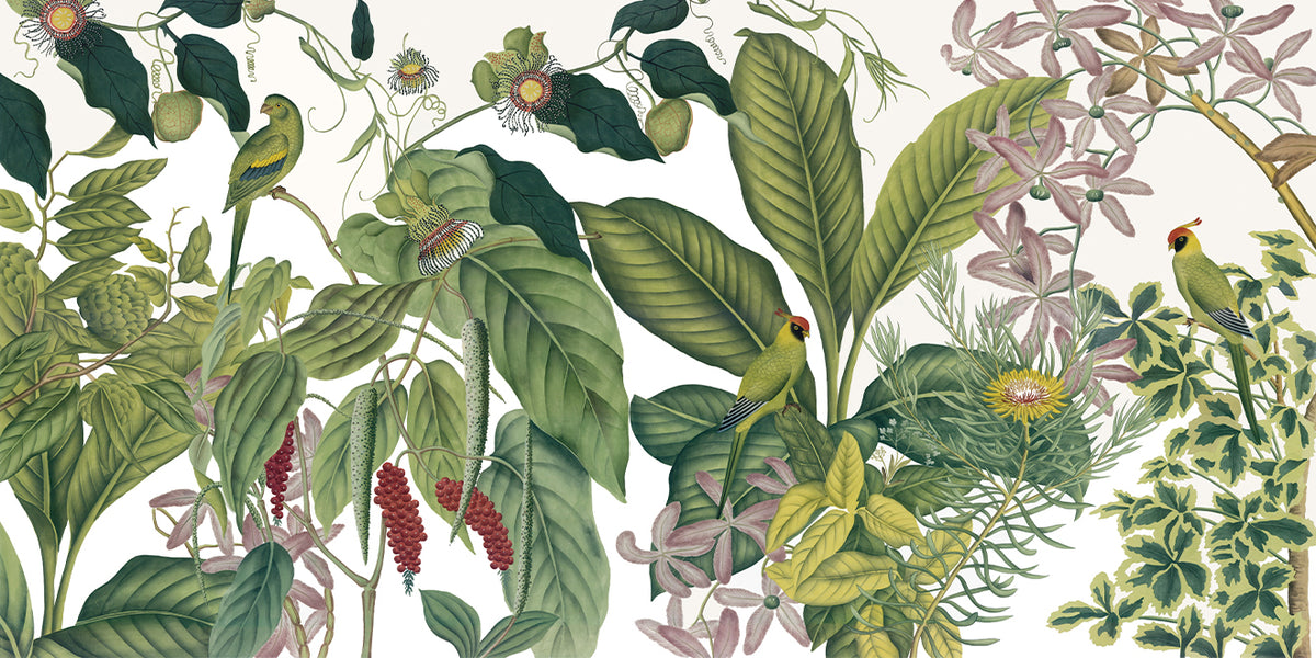 Frise Indienne ANB13 — papel pintado Ressource Ananbô
