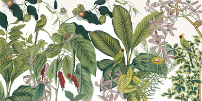 Frise Indienne ANB13 — papel pintado Ressource Ananbô