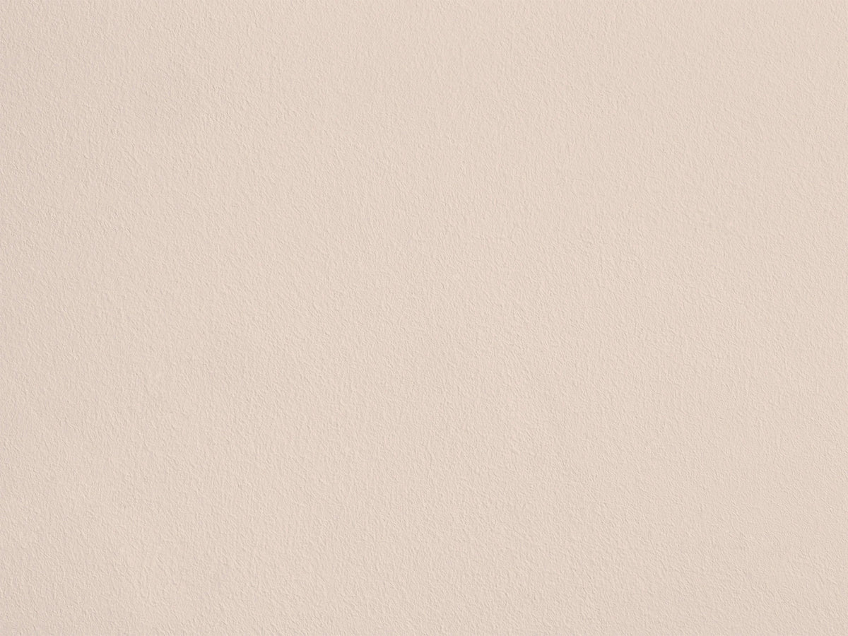 Poudre de Riz AP08 — Colección Antoinette Poisson