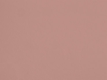 Rose Champignon AP10 — Colección Antoinette Poisson