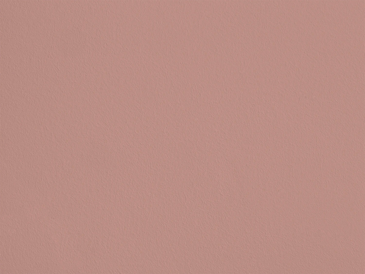Rose Champignon AP10 — Colección Antoinette Poisson