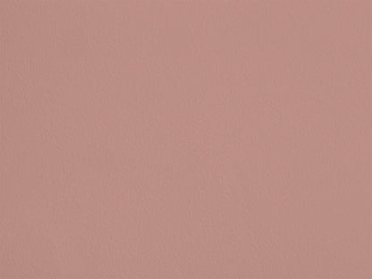 Rose Champignon AP10 — Colección Antoinette Poisson
