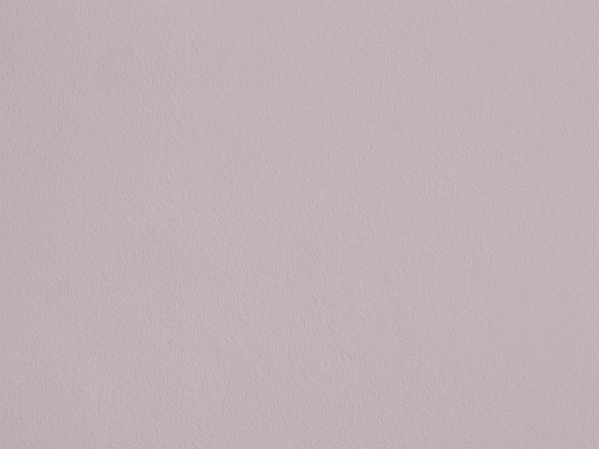 Bouquet de Tamaris AP11 — Colección Antoinette Poisson