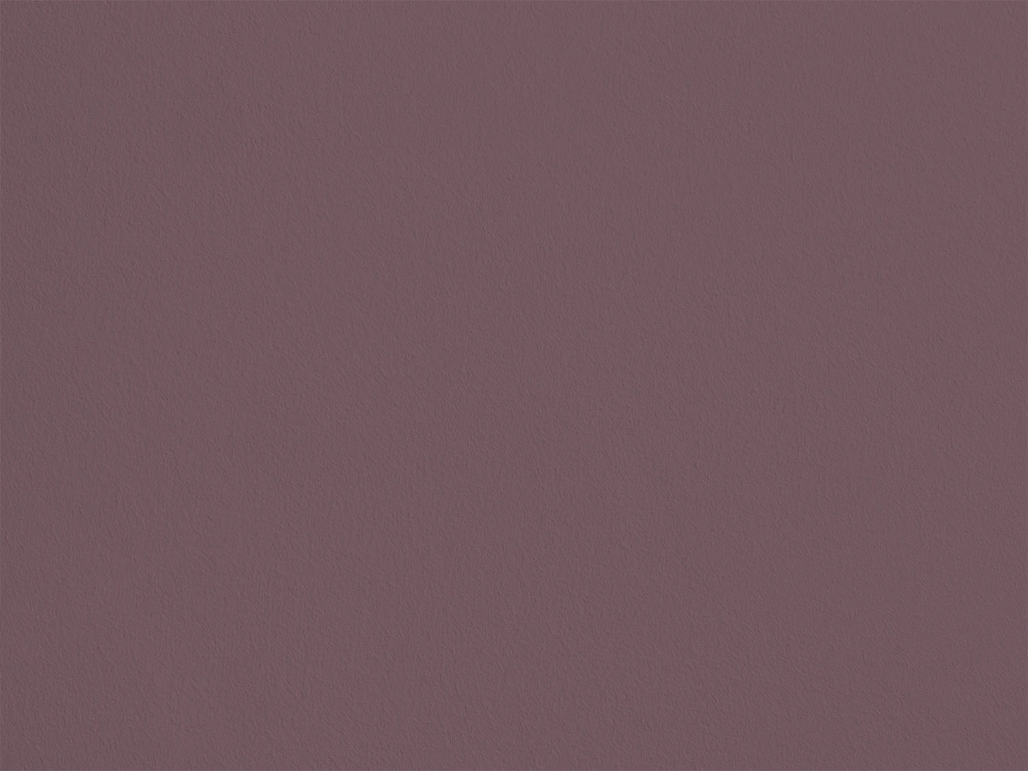 Prune Monsieur AP13 — Colección Antoinette Poisson