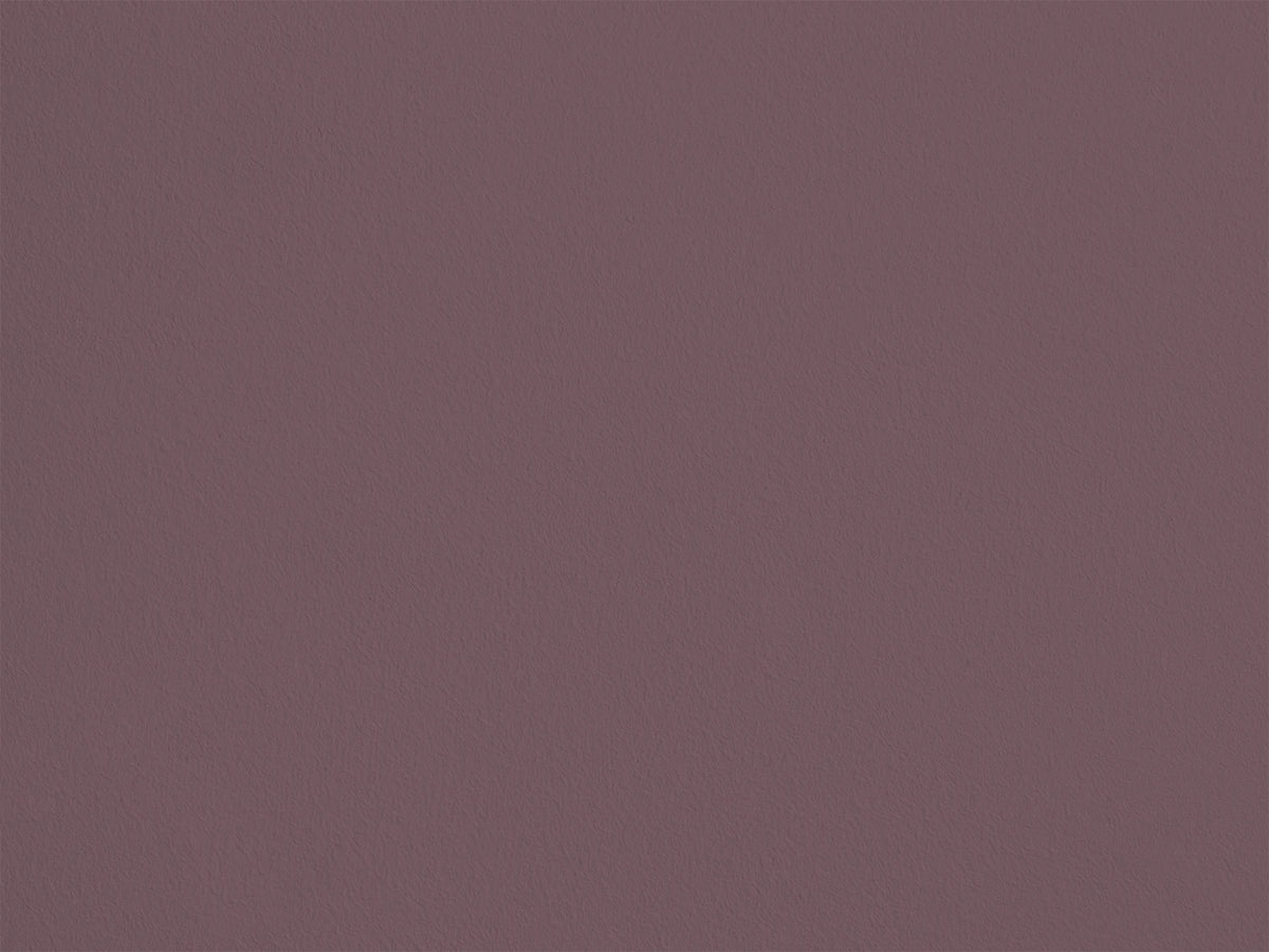 Prune Monsieur AP13 — Colección Antoinette Poisson