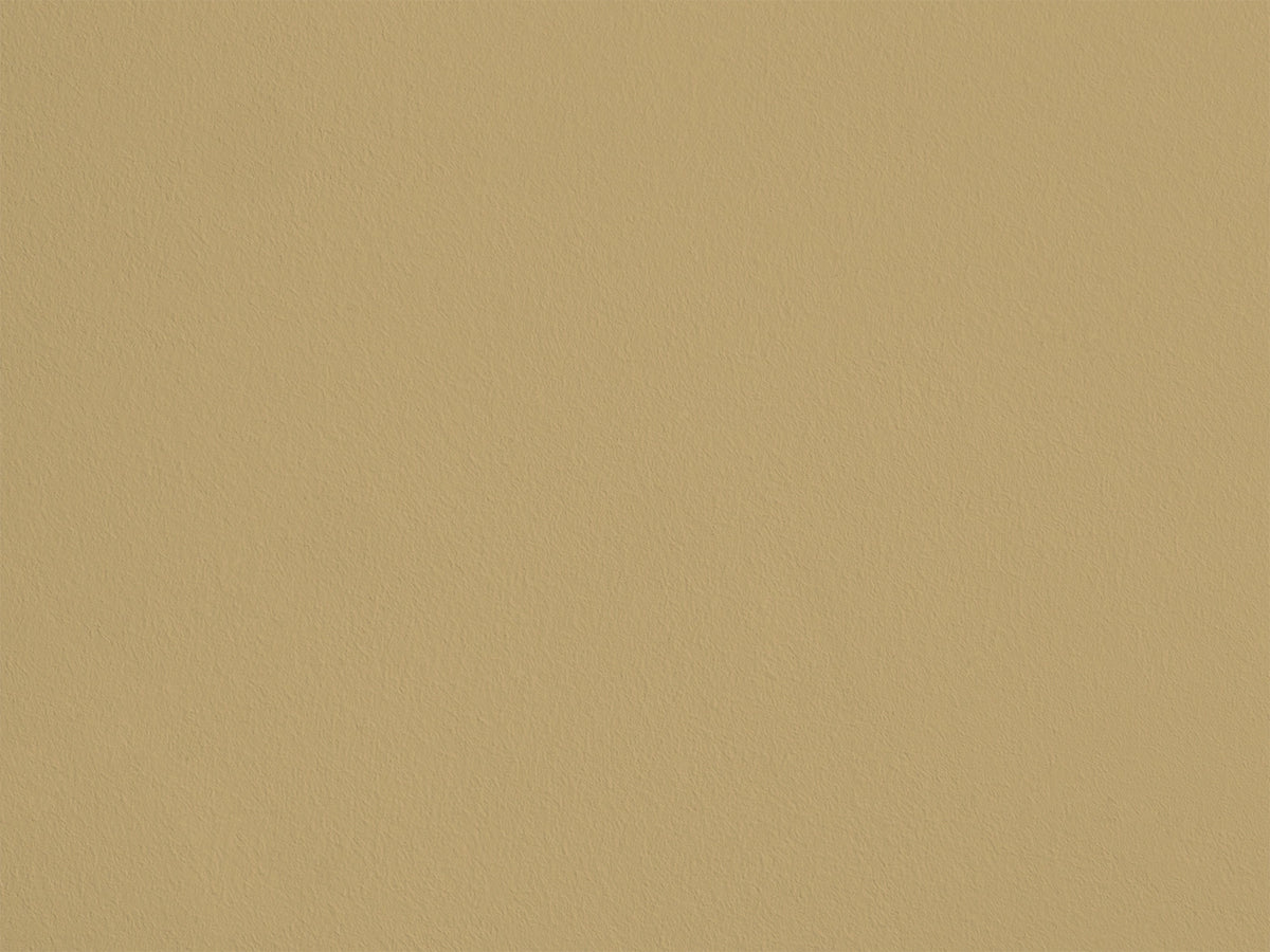 Jaune Pain Sec AP17 — Colección Antoinette Poisson