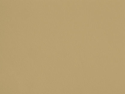 Jaune Pain Sec AP17 — Colección Antoinette Poisson
