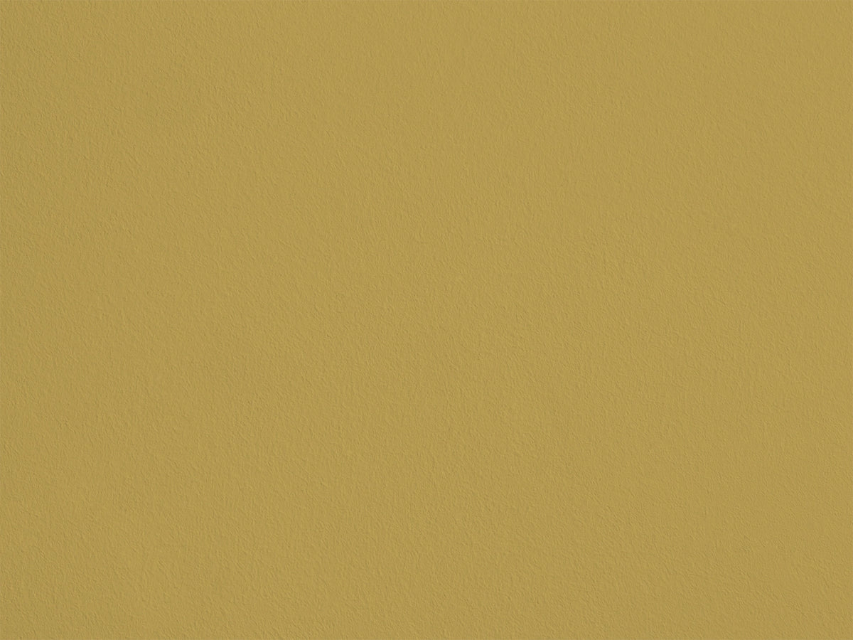 Graine d'Avignon AP18 — Colección Antoinette Poisson