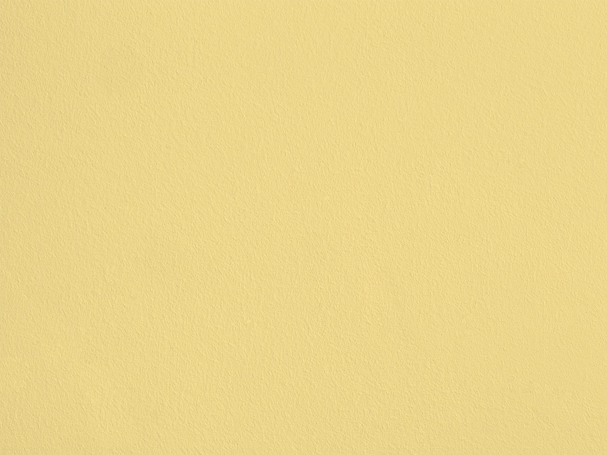 Bouton de Jonquille AP19 — Colección Antoinette Poisson