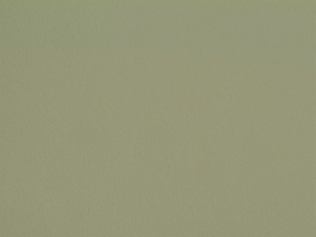 Mousse de Dolmen AP20 — Colección Antoinette Poisson