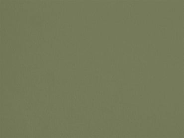 Petite Grenouille AP21 — Colección Antoinette Poisson