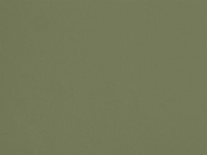 Petite Grenouille AP21 — Colección Antoinette Poisson