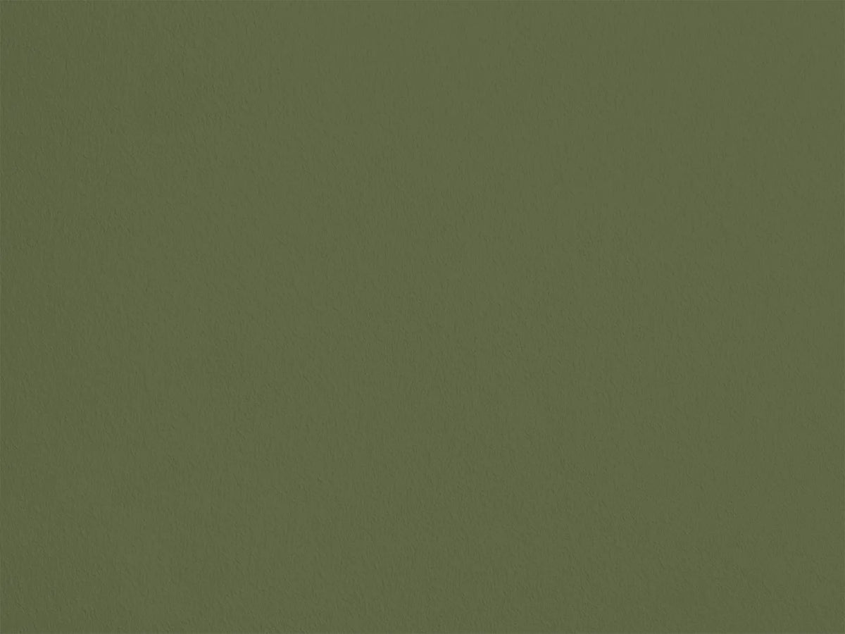 Vert Dragon AP22 — Colección Antoinette Poisson