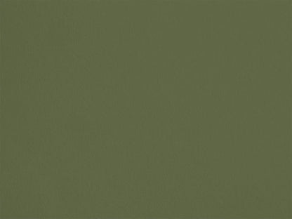 Vert Dragon AP22 — Colección Antoinette Poisson