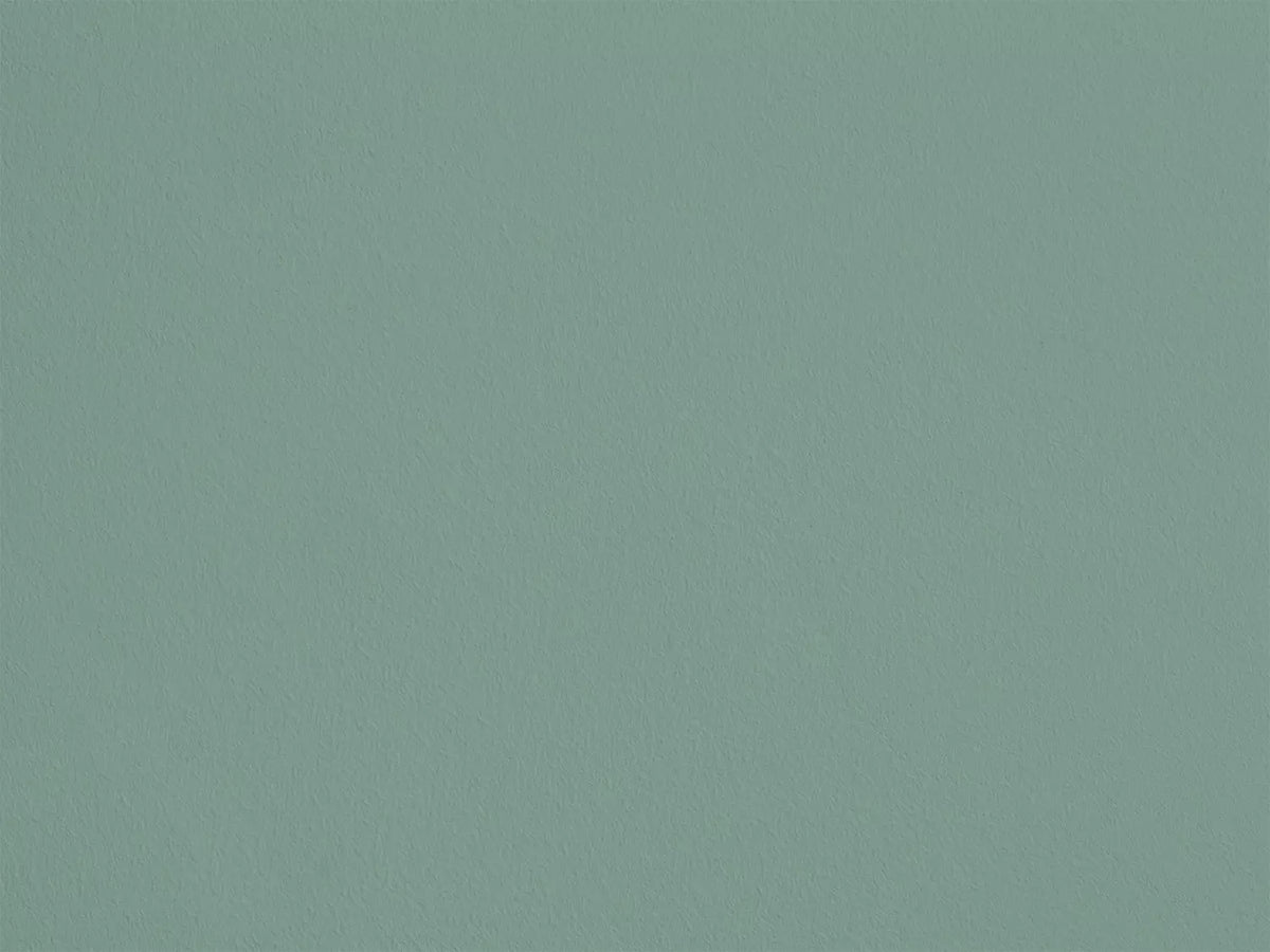 Mer des Sargasses AP24 — Colección Antoinette Poisson