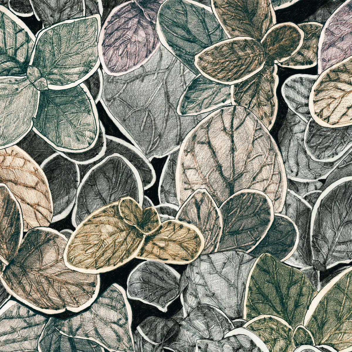 Anna CG03 — papel pintado Ressource Faune & Flore