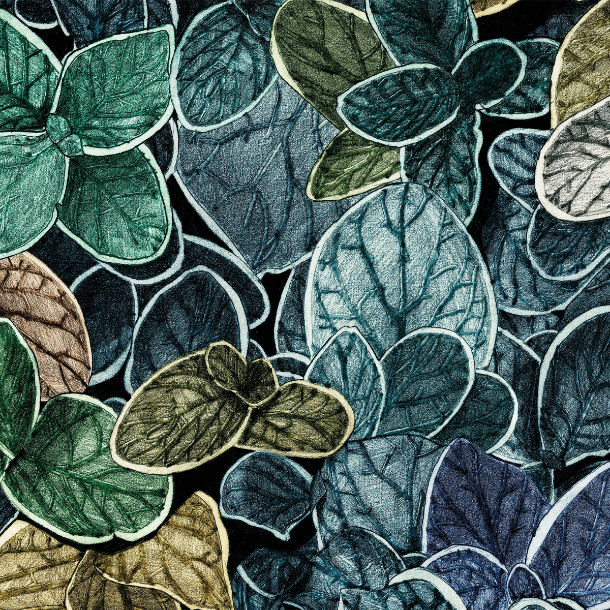 Anna CG05 — papel pintado Ressource Faune & Flore