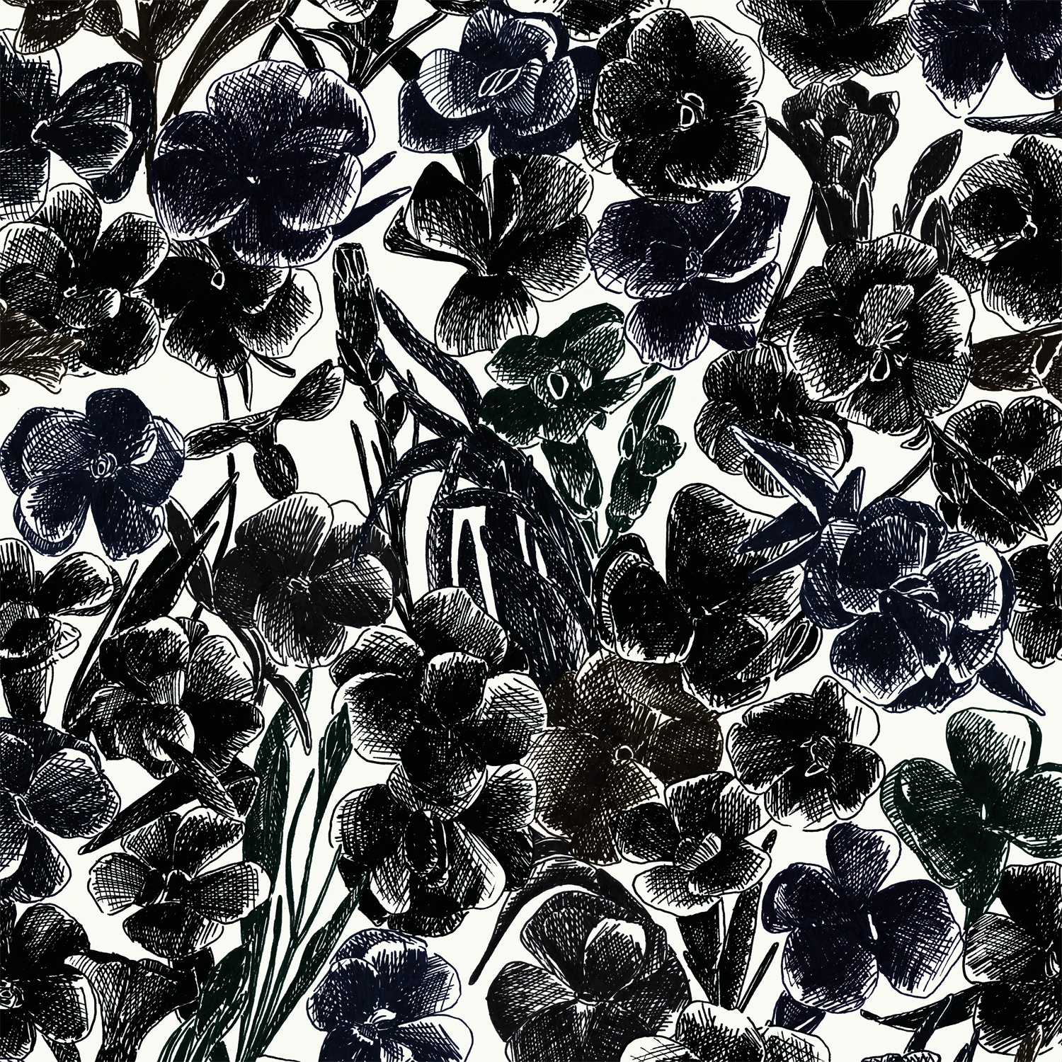 Estampe ES08 — papel pintado Ressource Faune & Flore