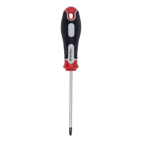 Tournevis Torx Premium T20 100 mm