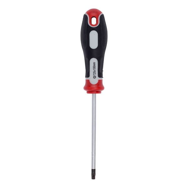 Tournevis Torx Premium T25 100 mm