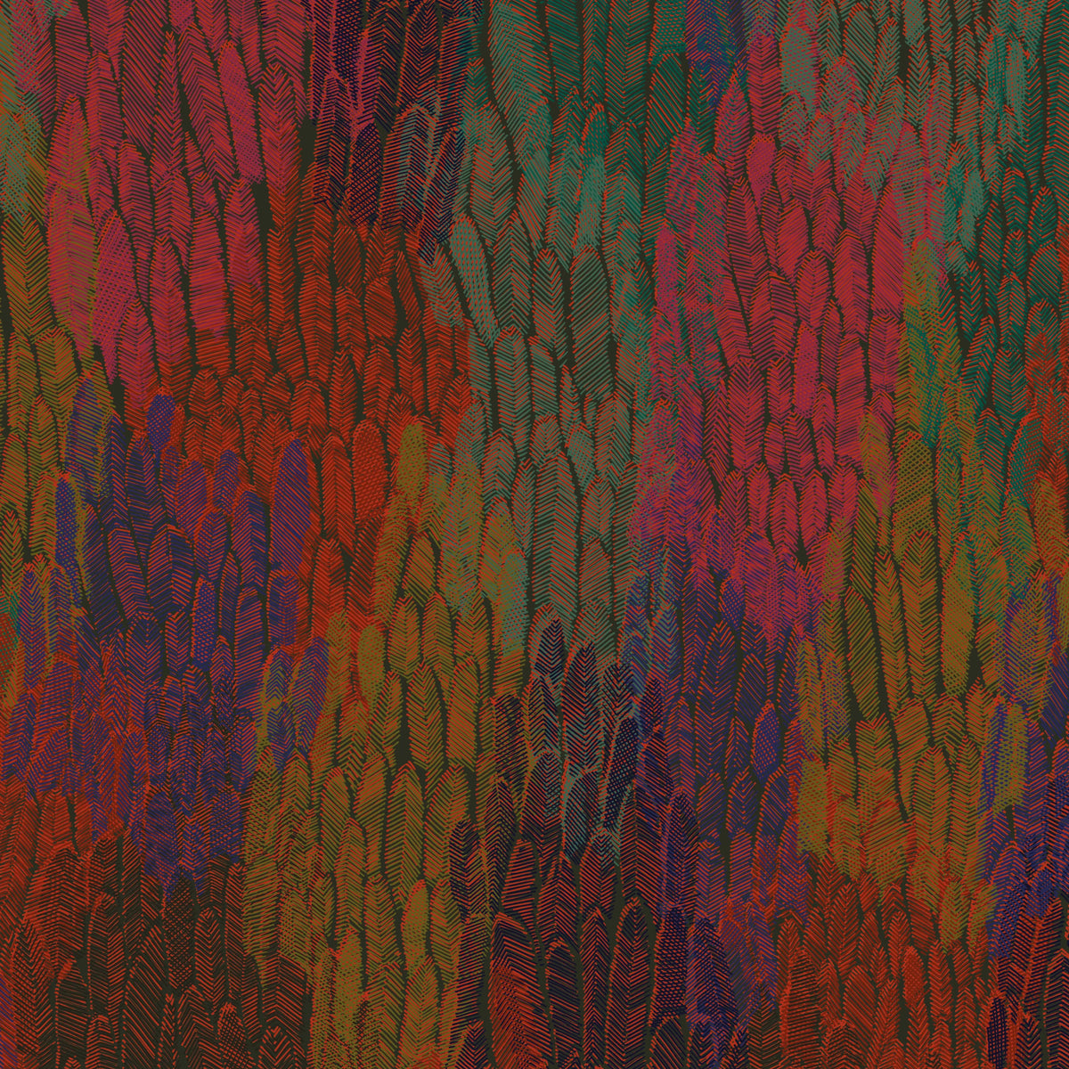 Plumage PL01 — papel pintado Ressource Faune & Flore