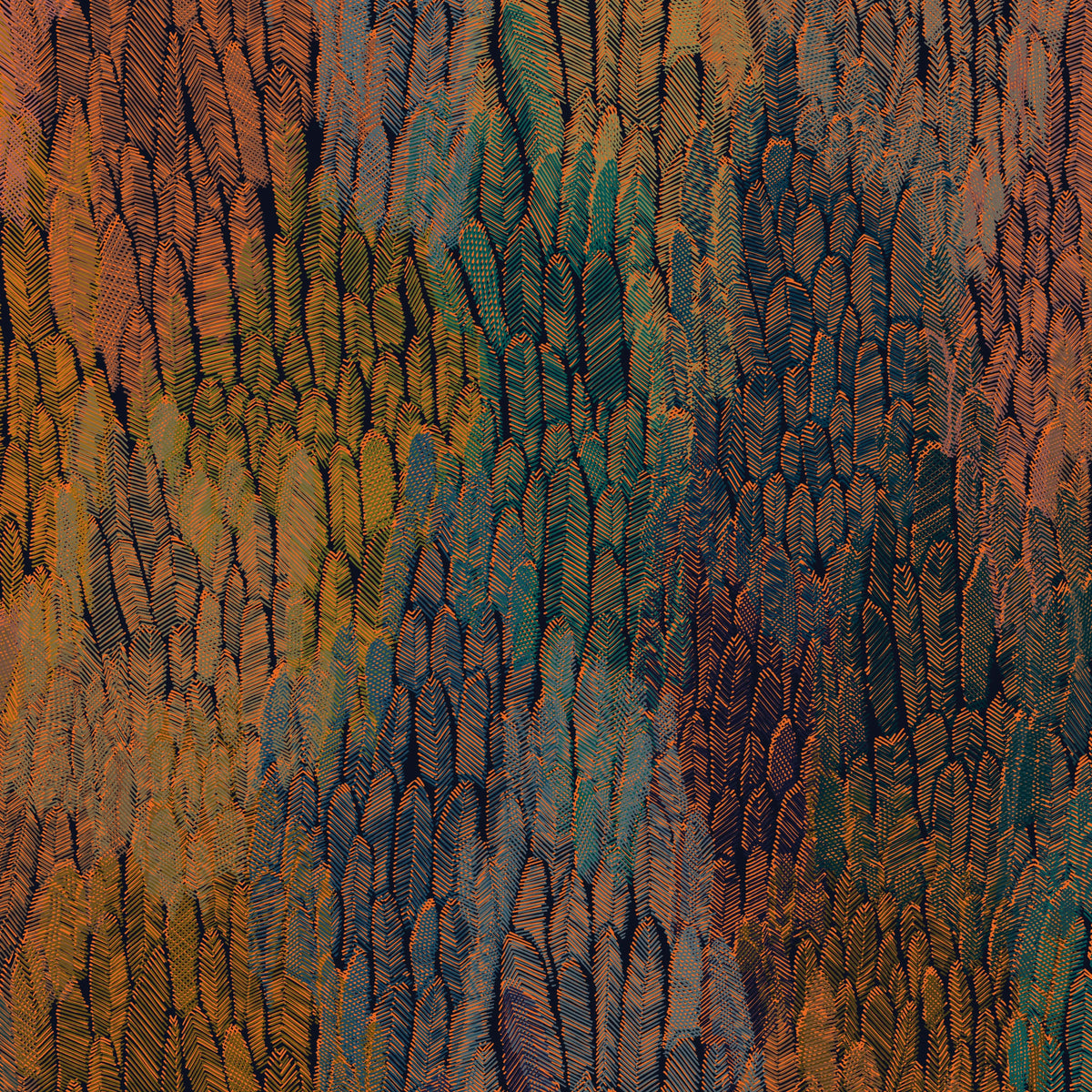 Plumage PL03 — papel pintado Ressource Faune & Flore
