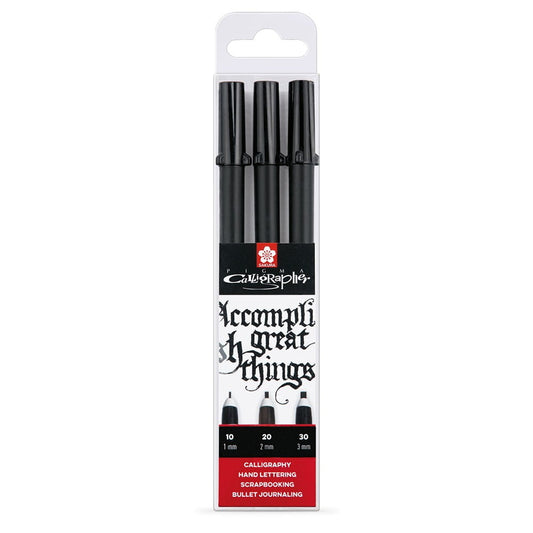 Set 3 Calligraphe Pigma Micron