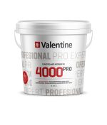 VALETINE-4000-PRO-PLASTICO-MATE-STOCKPINTURAS